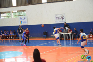 DSC_6482.jpg