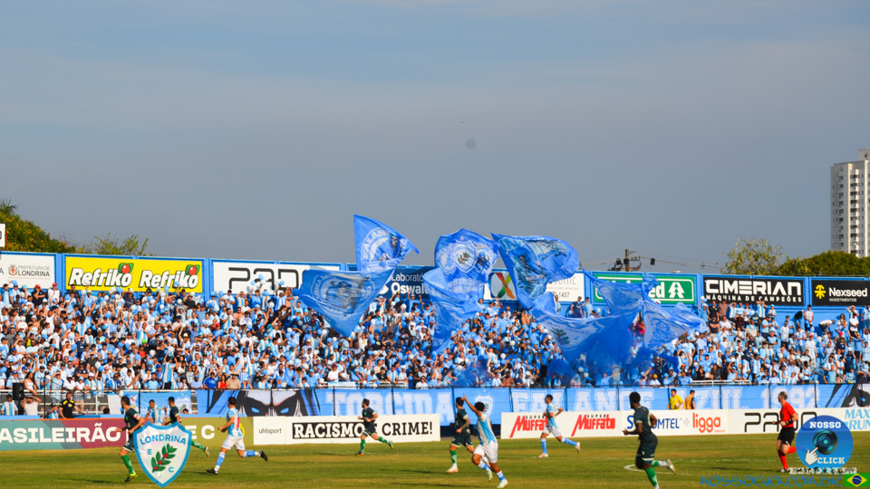 DSC_1666.jpg