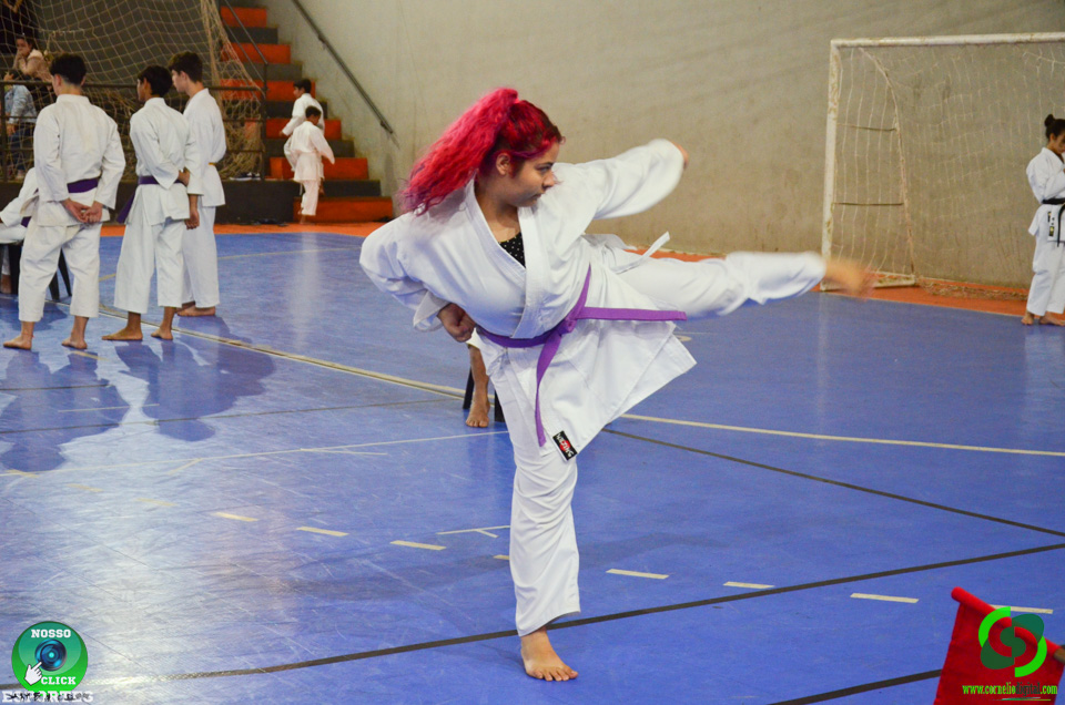 DSC_2348.jpg