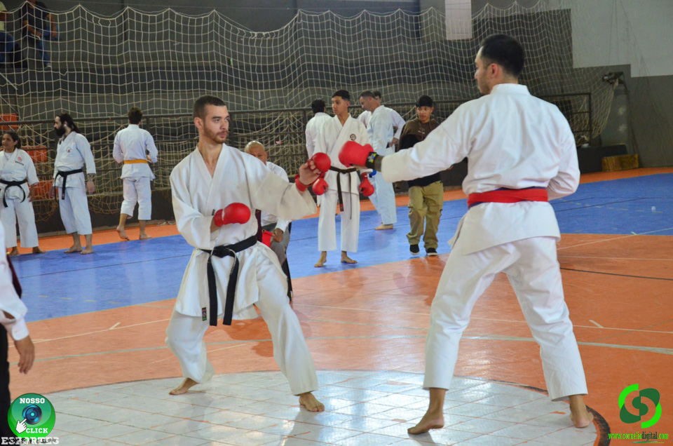 DSC_2918.jpg