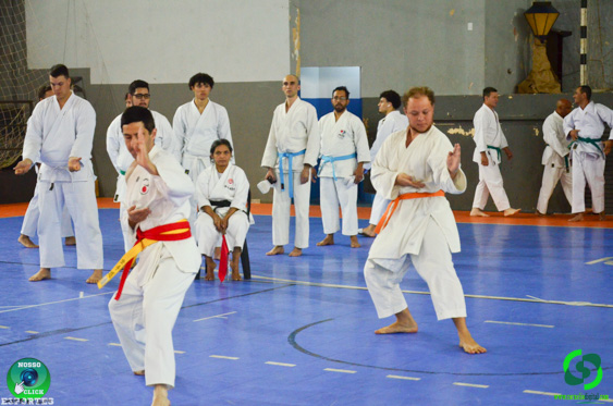 DSC_2432.jpg