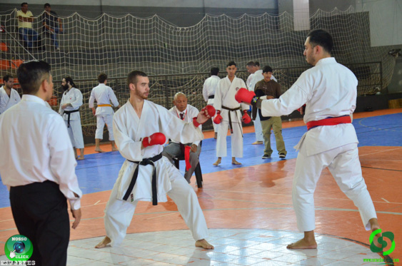 DSC_2917.jpg