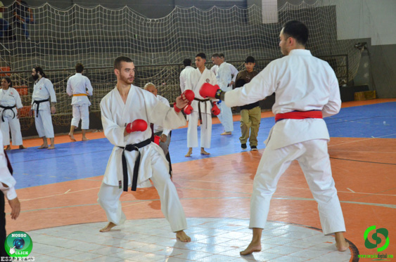 DSC_2918.jpg