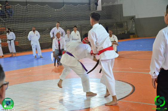 DSC_2919.jpg