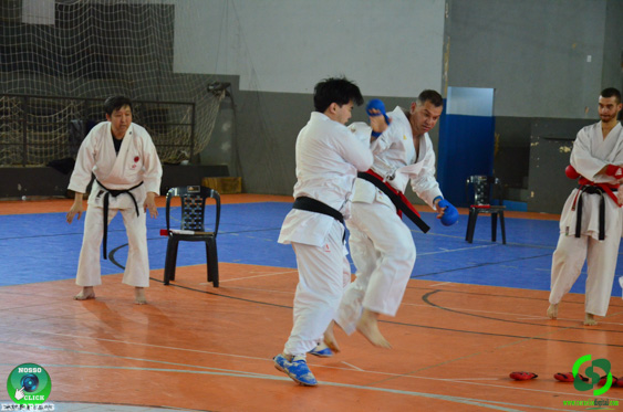 DSC_2935.jpg