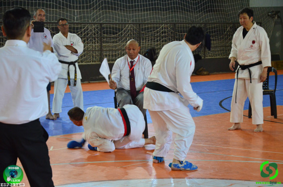 DSC_2939.jpg