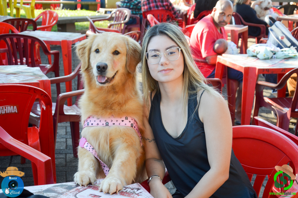 DSC_0162.jpg