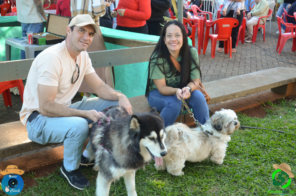 DSC_0264.jpg