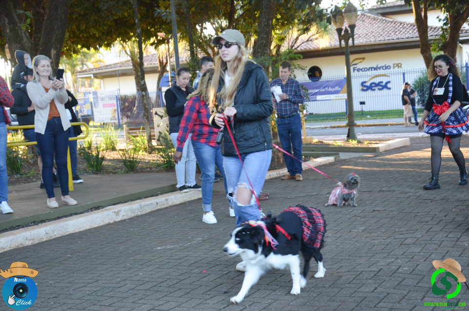 DSC_0533.jpg
