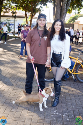 DSC_0206.jpg