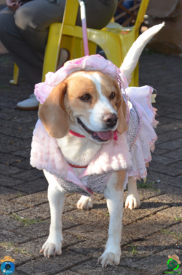 DSC_0391.jpg