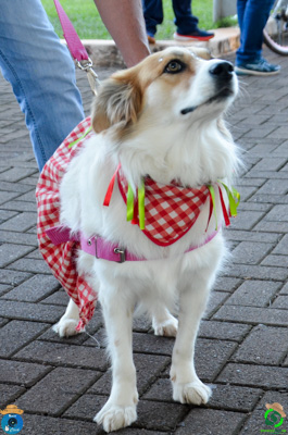 DSC_0505.jpg