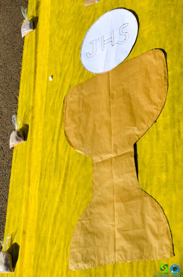 DSC_6498.jpg