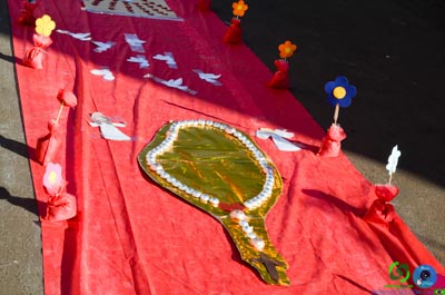 DSC_7439.jpg