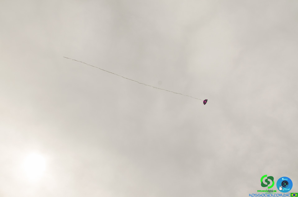 DSC_1721.jpg