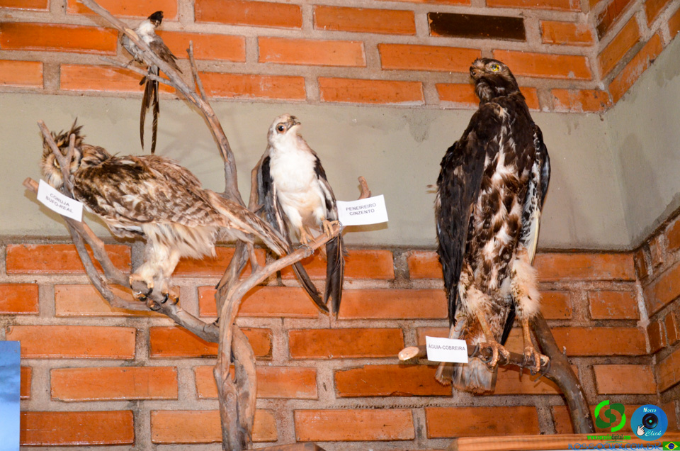 DSC_2083.jpg