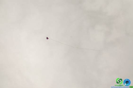 DSC_1738.jpg