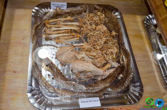 DSC_2074.jpg