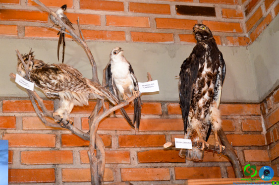 DSC_2083.jpg