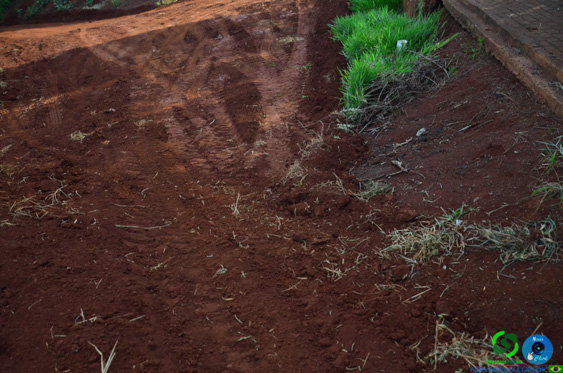 Filename=DSC_8507.jpg
Filesize=306KiB
Dimensions=960x636
Date added=Oct 26, 2025 DSC_8507.jpg