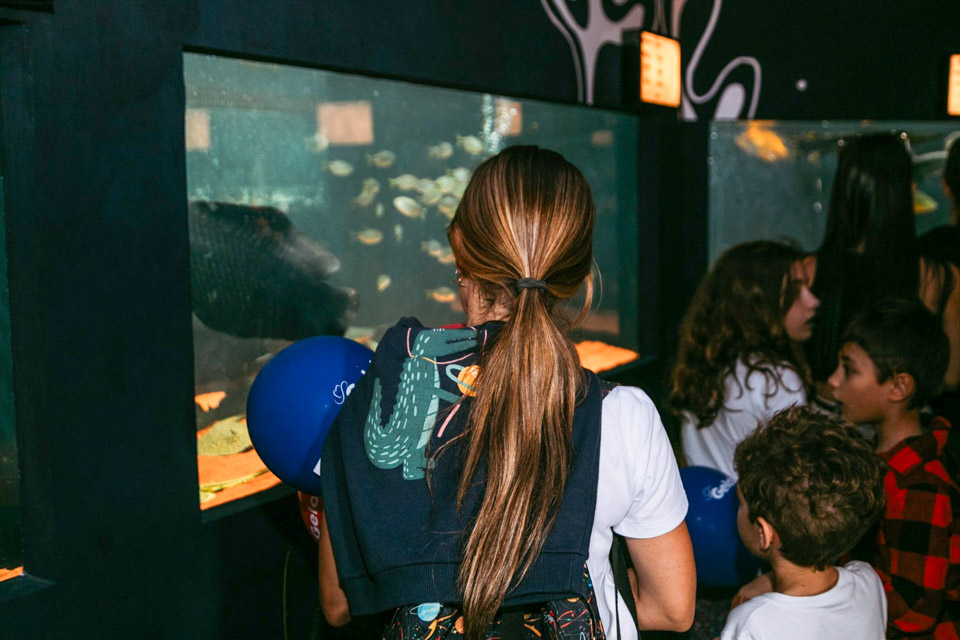 Aquario-209.jpg