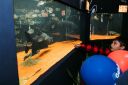 Aquario-211.jpg