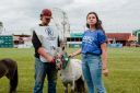 XXICampeonatoNacionaldeMiniHorse-72.jpg