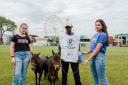 XXICampeonatoNacionaldeMiniHorse-73.jpg