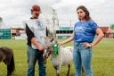 XXICampeonatoNacionaldeMiniHorse-74.jpg