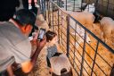 FamiliaseCriancas-155.jpg