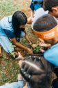 EntregadeMudas-EscolaMunicipal-444.jpg