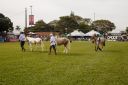 CavaloCampeiro-559.jpg