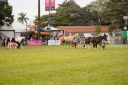 CavaloCampeiro-561.jpg