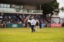 CavaloCampeiro-565.jpg