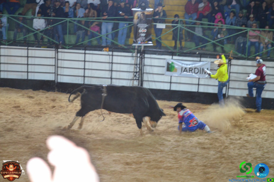 DSC_7544.jpg
