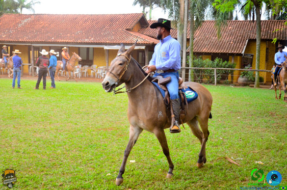 Filename=DSC_9099.jpg
Filesize=434KiB
Dimensions=960x636
Date added=Oct 27, 2025 DSC_9099.jpg