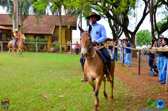 Filename=DSC_9100.jpg
Filesize=464KiB
Dimensions=960x636
Date added=Oct 27, 2025 DSC_9100.jpg