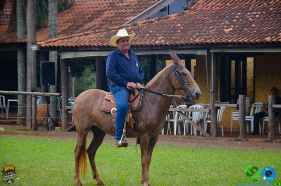 Filename=DSC_9177.jpg
Filesize=297KiB
Dimensions=960x636
Date added=Oct 27, 2025 DSC_9177.jpg