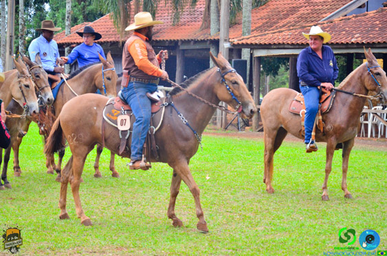 Filename=DSC_9179.jpg
Filesize=441KiB
Dimensions=960x636
Date added=Oct 27, 2025 DSC_9179.jpg