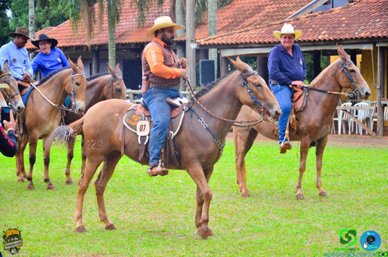 Filename=DSC_9180.jpg
Filesize=445KiB
Dimensions=960x636
Date added=Oct 27, 2025 DSC_9180.jpg