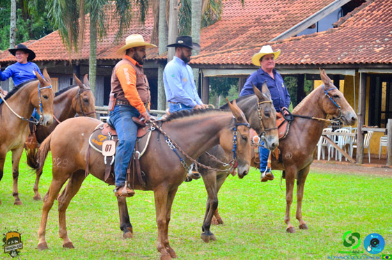 Filename=DSC_9181.jpg
Filesize=433KiB
Dimensions=960x636
Date added=Oct 27, 2025 DSC_9181.jpg