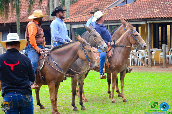 Filename=DSC_9182.jpg
Filesize=403KiB
Dimensions=960x636
Date added=Oct 27, 2025 DSC_9182.jpg