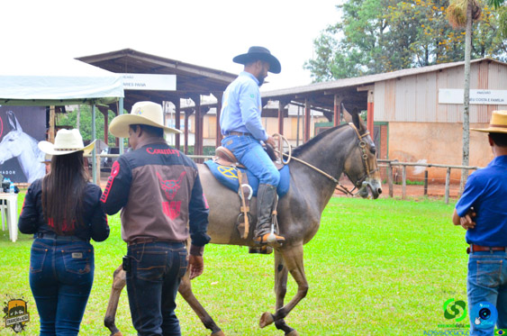 Filename=DSC_9184.jpg
Filesize=341KiB
Dimensions=960x636
Date added=Oct 27, 2025 DSC_9184.jpg