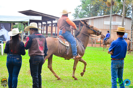 Filename=DSC_9185.jpg
Filesize=368KiB
Dimensions=960x636
Date added=Oct 27, 2025 DSC_9185.jpg