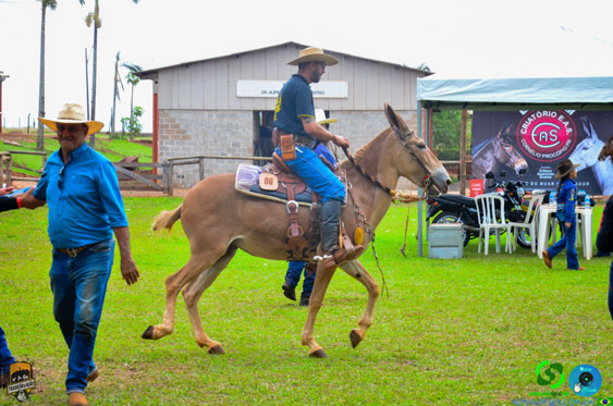 Filename=DSC_9186.jpg
Filesize=365KiB
Dimensions=960x636
Date added=Oct 27, 2025 DSC_9186.jpg