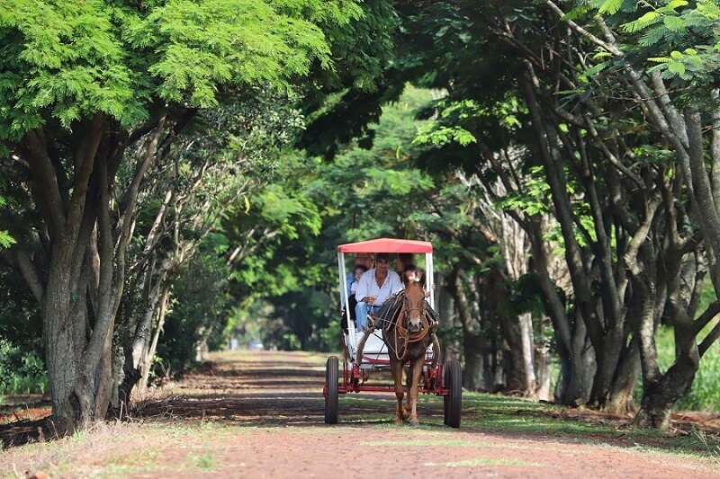 Turismo rural ajuda a complementar renda ao agricultor do Paraná