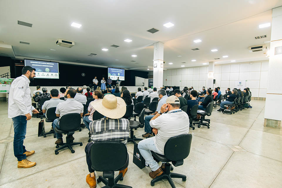 Mercado de plantas medicinais e aromáticas tem potencial para crescer no Paraná