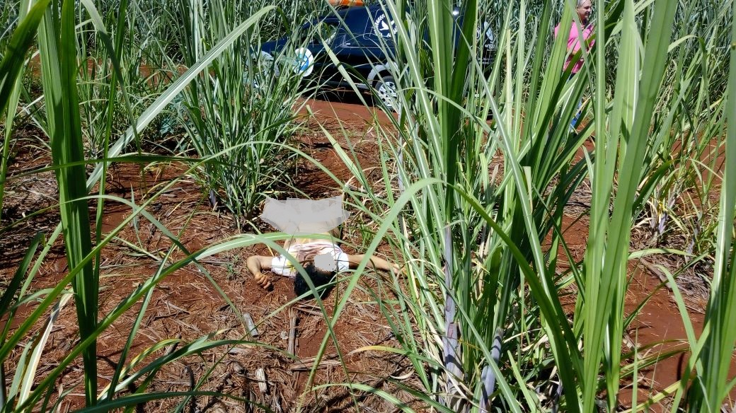 Cadáver de mulher é encontrado com marcas de violência em área rural de Cornélio Procópio