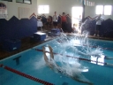 Filename=DSC02490_640x480.jpg
Filesize=60KiB
Dimensions=640x480
Date added=Dec 03, 2012 DSC02490_640x480.jpg