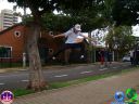 Filename=DSC04398.jpg
Filesize=91KiB
Dimensions=640x480
Date added=May 20, 2012 DSC04398.jpg